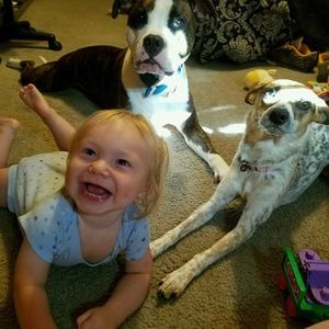 Meet your Posher, Shelli